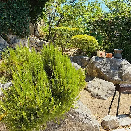 Apartament Casa Elvira Basilico Intera *